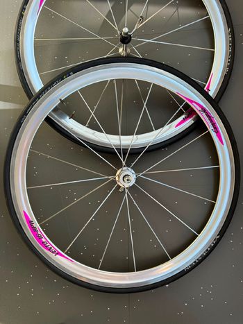 Used Campagnolo Vento 16 HPV 1998 bike — image 3 of 9
