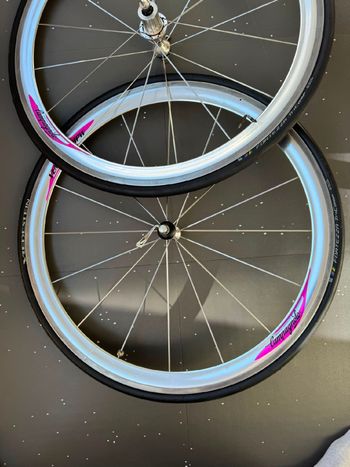 Used Campagnolo Vento 16 HPV 1998 bike