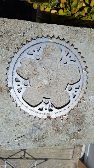 No brand Chainring 48 bike usato — immagine 2 di 2