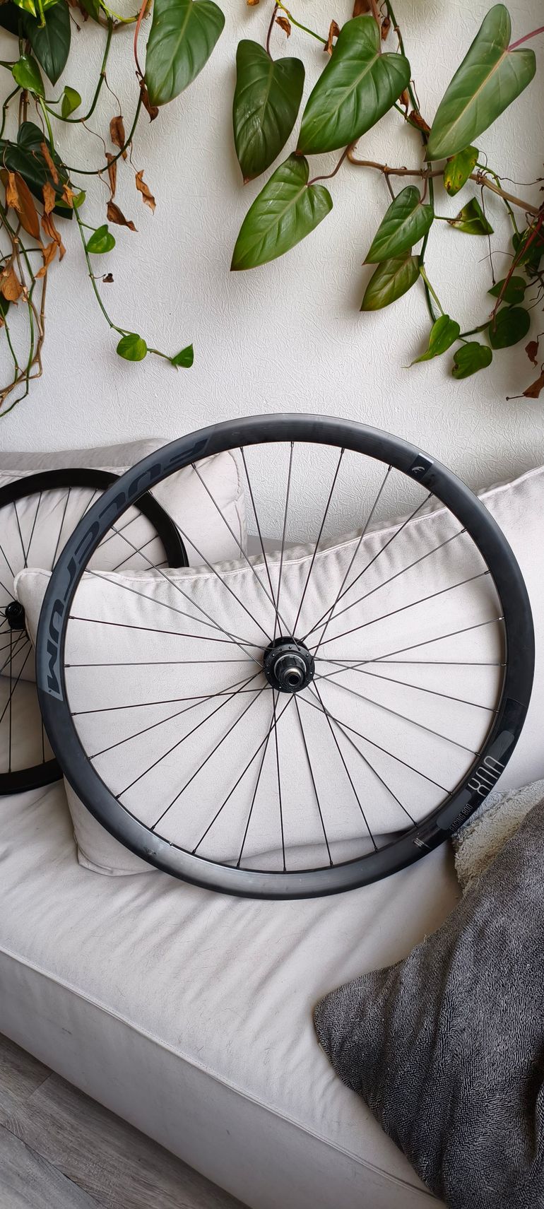Używany Fulcrum Racing 800DB Wheelset 2026 bike — zdjęcie 2 z 4