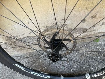 Used damil Ruote 29” 2023 bike — image 2 of 4