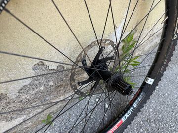 Used damil Ruote 29” 2023 bike — image 3 of 4