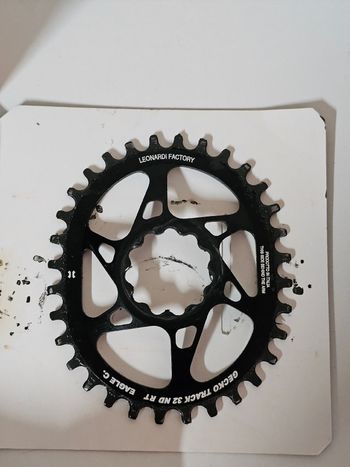 Gebrauchtes Leonardi Factory racing Gecko Chainring bike