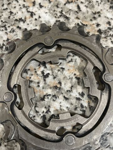 Używany Campagnolo Pignoni (Cassettes) bike — zdjęcie 6 z 8