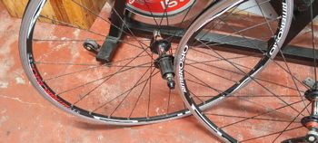 Używany Ambrosio Shimano-Compatible Rim bike — zdjęcie 2 z 9