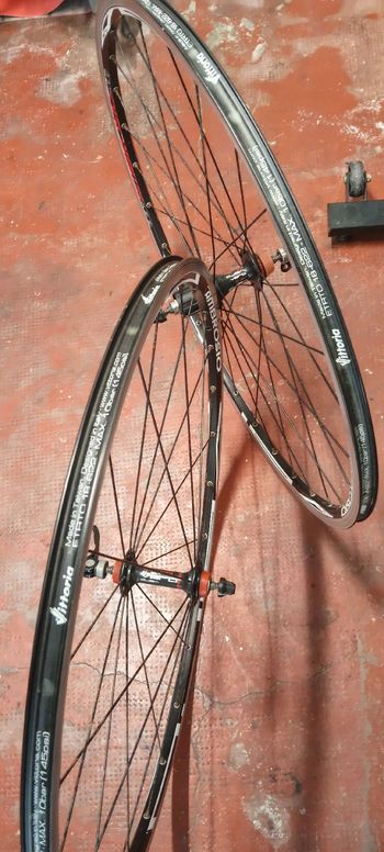 Używany Ambrosio Shimano-Compatible Rim bike — zdjęcie 7 z 9