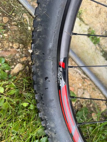 Używany Bh Aluminium Trial 29’ Wheels with Sram 12V Cassette & Shimano 160mm Disc bike — zdjęcie 8 z 8