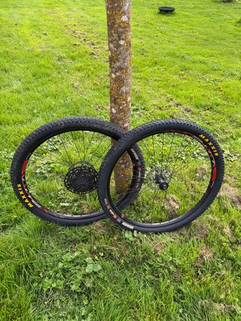 Używany Bh Aluminium Trial 29’ Wheels with Sram 12V Cassette & Shimano 160mm Disc bike