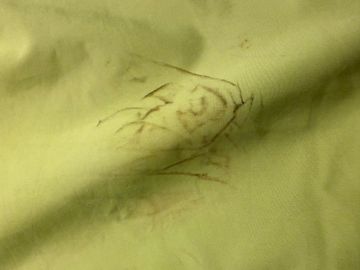 Used Gonso Regenjacke Gelb 2020 bike — image 4 of 4