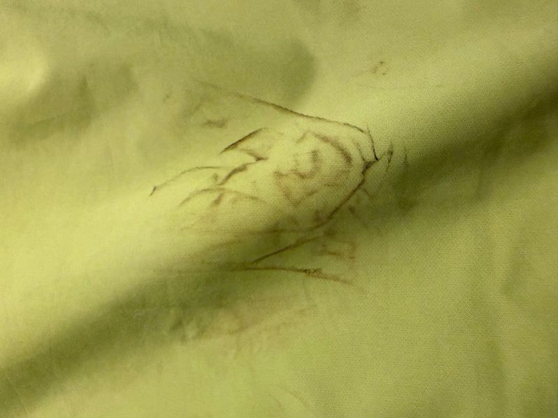Used Gonso Regenjacke Gelb 2020 bike — image 4 of 4