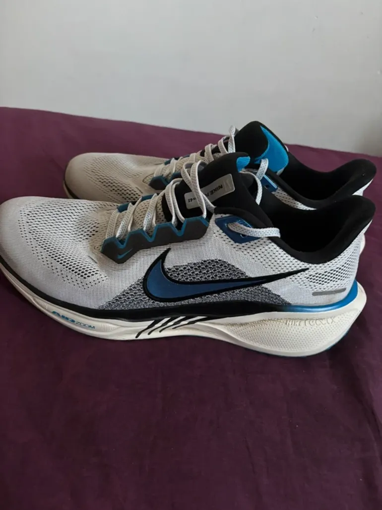Used Pegasus 41 bike — image 1 of 4