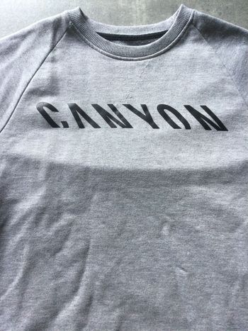 Used Canyon Felpa bike — image 2 of 5