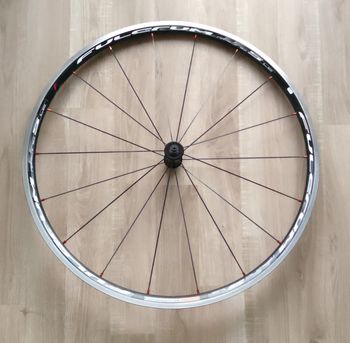 Used Fulcrum Racing 5 LG 700c 622 28" front wheel bike