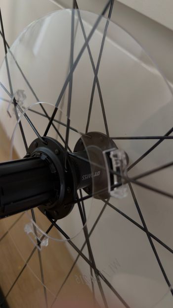 Used Dt Swiss Gravel LN Classic DB 25 2025 bike — image 8 of 8