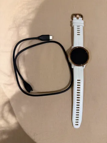 Used Garmin Fenix 6S pro bike