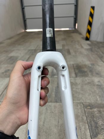 Used Colnago C64 Carbon Road Fork Rim Brake 2021 bike — image 4 of 6