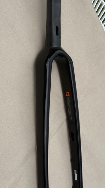Giant Defy Advanced Pro SL Carbon Fork OverDrive Aero 2024 bike d'occasion