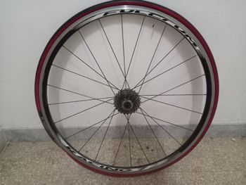 Fulcrum 7 2018 bike de segunda mano