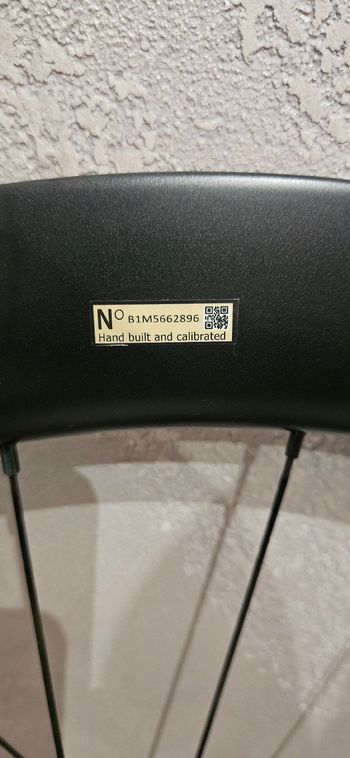 Käytetty Velomann W55 Disc Tubeless 2023 bike — kuva 11 / 13