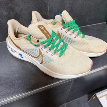 Used Pegasus Nike 39 Premium bike