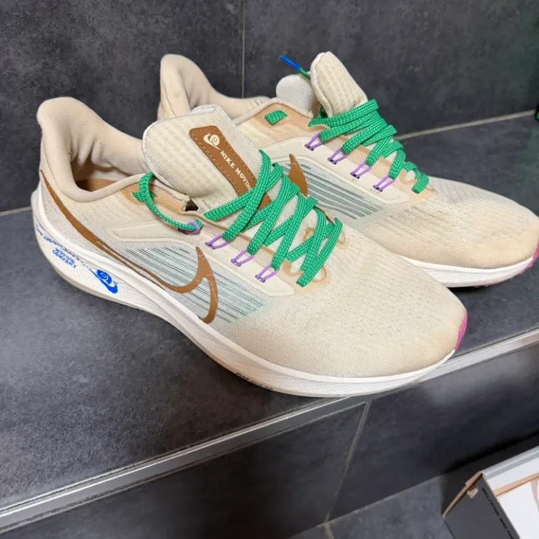 Used Pegasus Nike 39 Premium bike — image 1 of 8