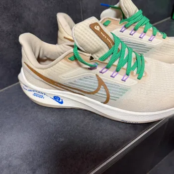 Used Pegasus Nike 39 Premium bike — image 4 of 8