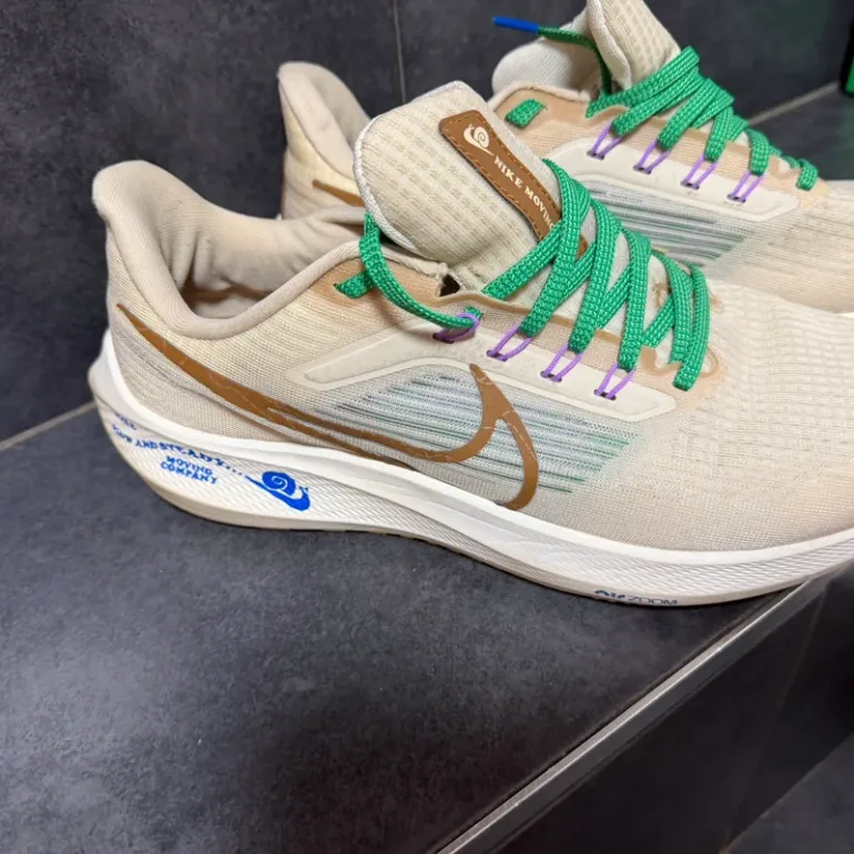 Used Pegasus Nike 39 Premium bike — image 4 of 8