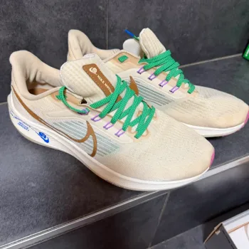 Used Pegasus Nike 39 Premium bike — image 2 of 8