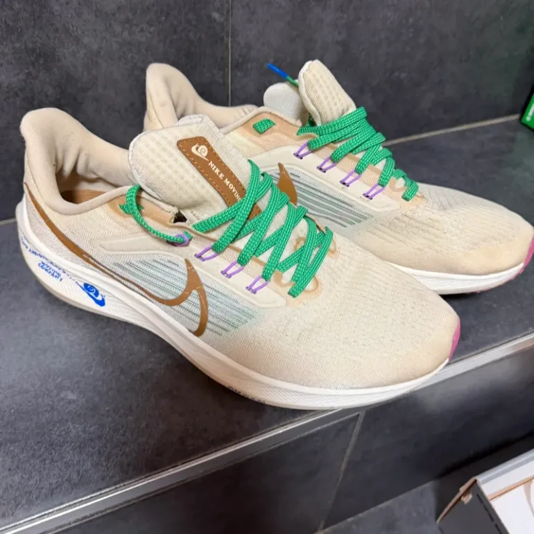 Used Pegasus Nike 39 Premium bike — image 2 of 8