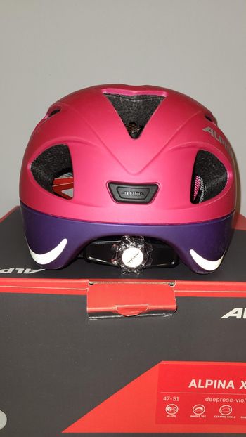 Used Alpina XIMO L.E. 2026 bike — image 4 of 15
