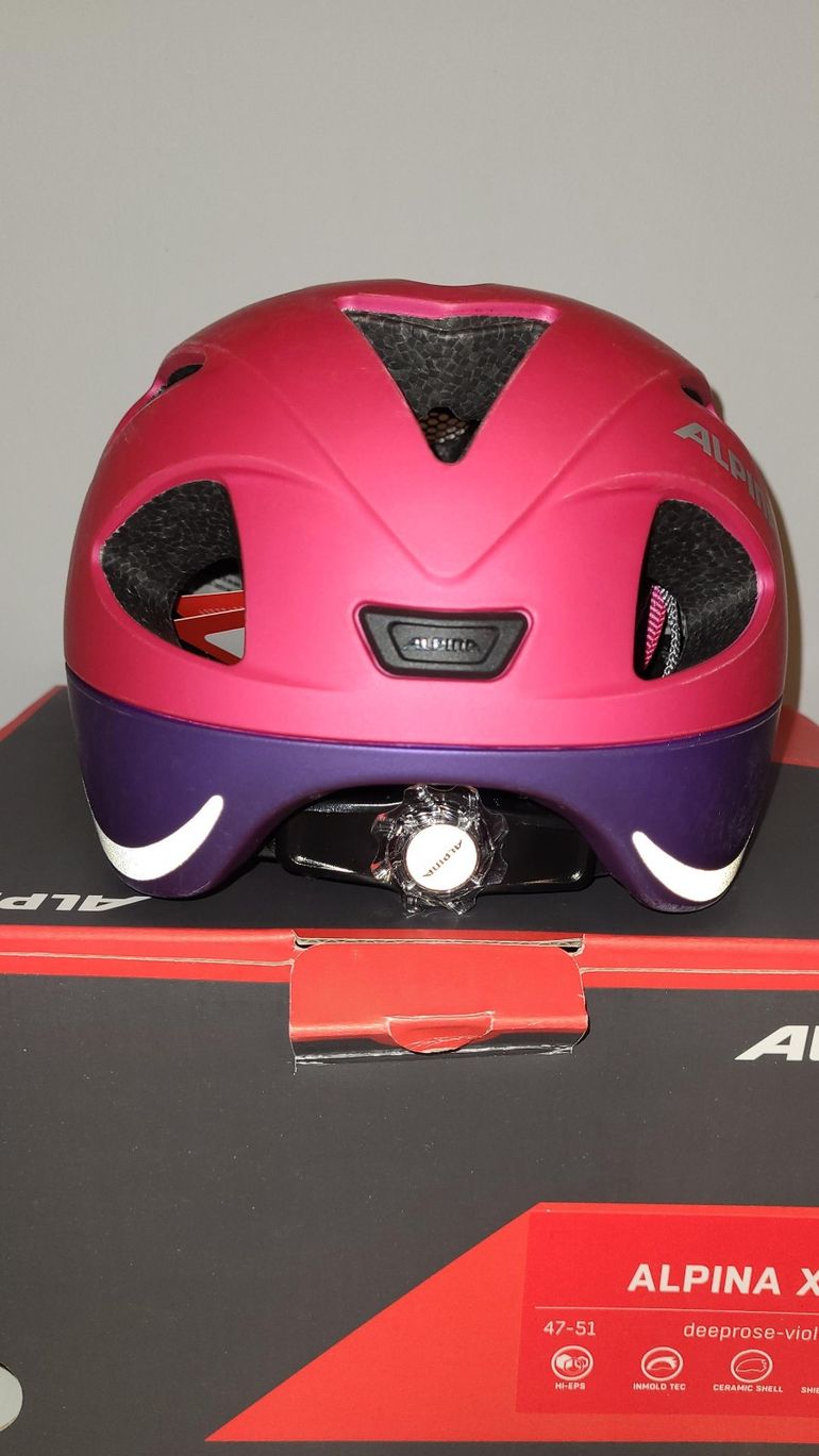 Used Alpina XIMO L.E. 2026 bike — image 9 of 15