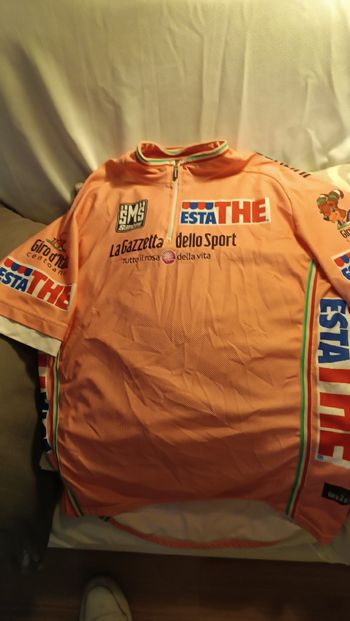 Used Santini Maglia Rosa Centenario Taglia L 2009 bike — image 6 of 6