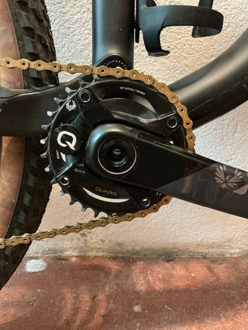 Gebrauchtes Sram Quarq Powermeter DZero XX1 Eagle DUB AXS Spider Boost 52mm 2022 bike — Bild 2 von 3