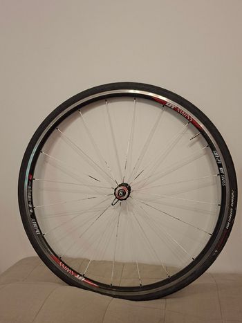 Used Dt Swiss rr21 dicut Rim 2016 bike — image 5 of 9