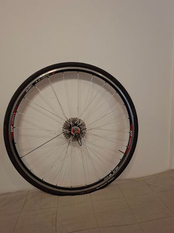 Used Dt Swiss rr21 dicut Rim 2016 bike — image 3 of 9