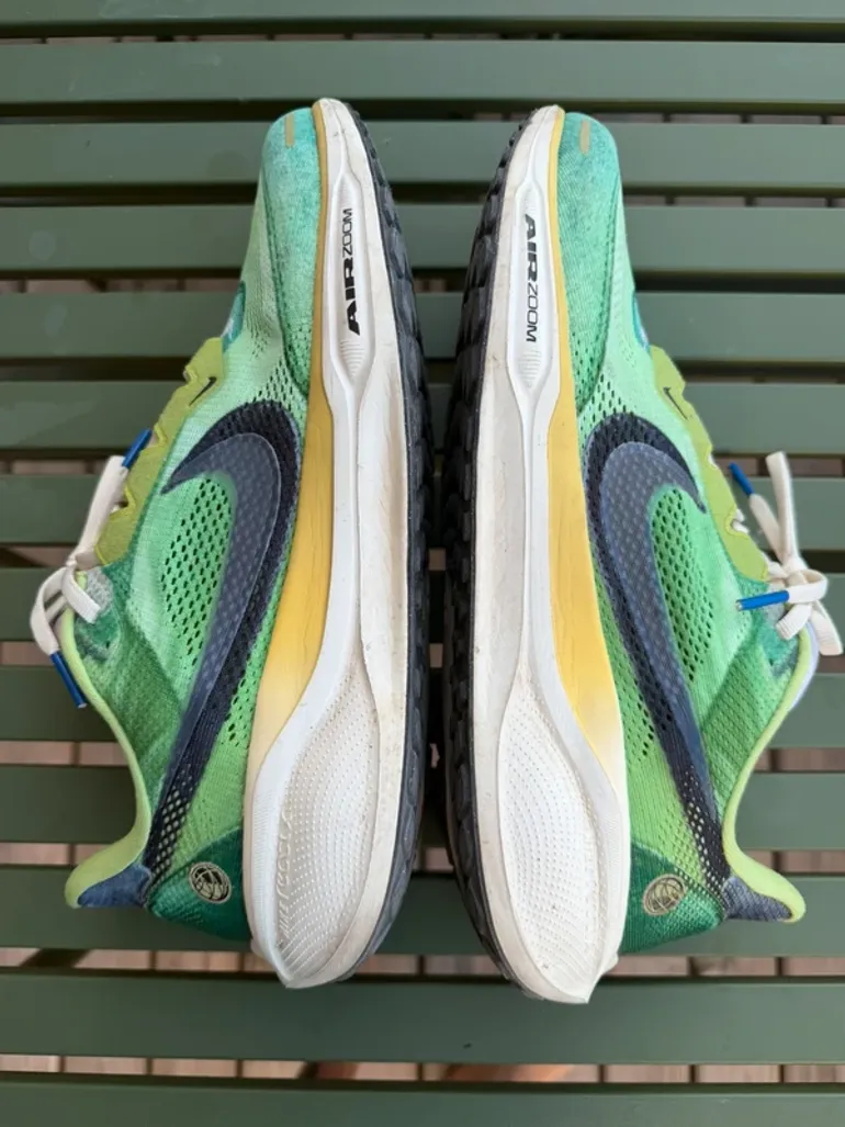 Pegasus 41 bike usato — immagine 3 di 5