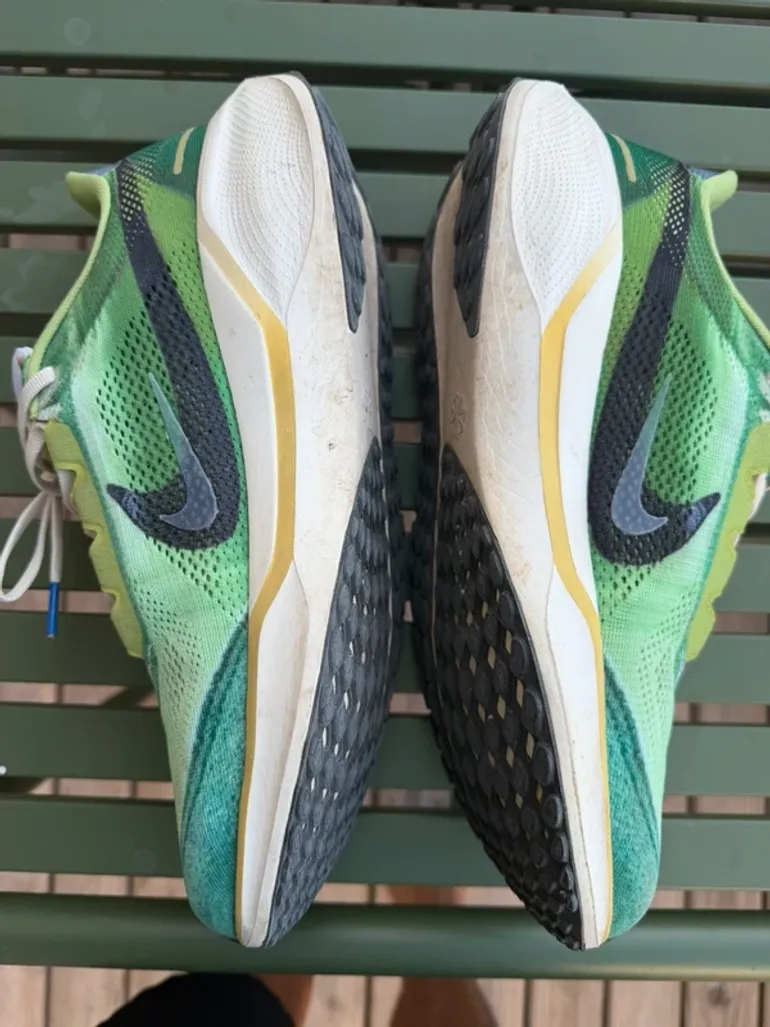 Pegasus 41 bike usato — immagine 2 di 5