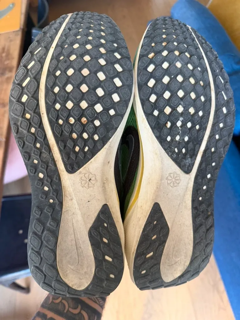 Pegasus 41 bike usato — immagine 5 di 5