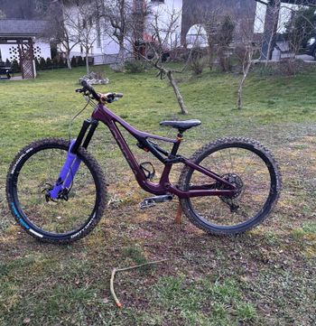 Used Formula Selva S 2023 bike — image 4 of 5