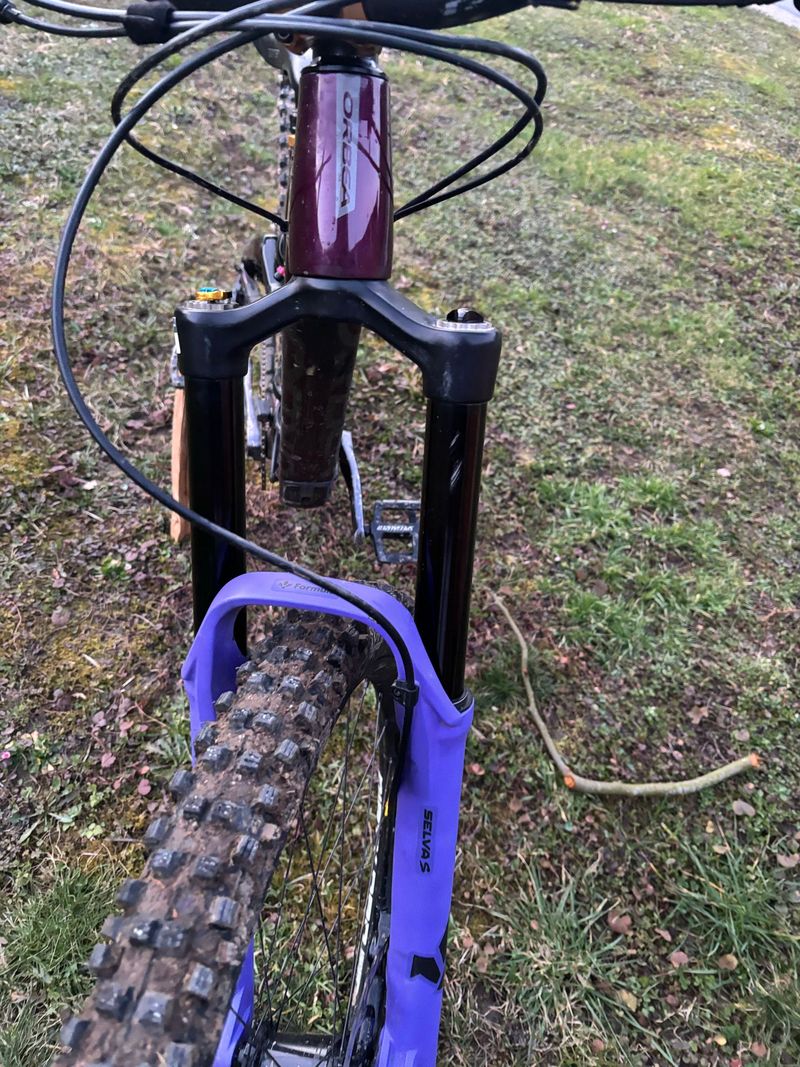Used Formula Selva S 2023 bike — image 1 of 5