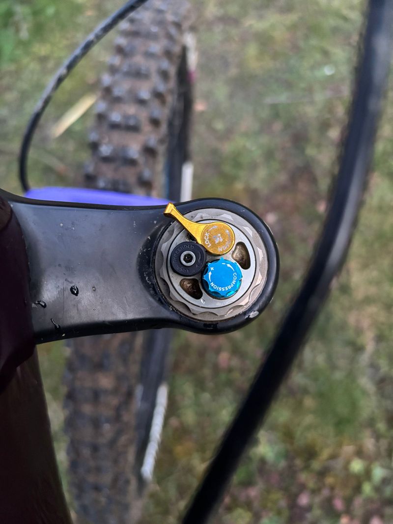 Used Formula Selva S 2023 bike — image 3 of 5