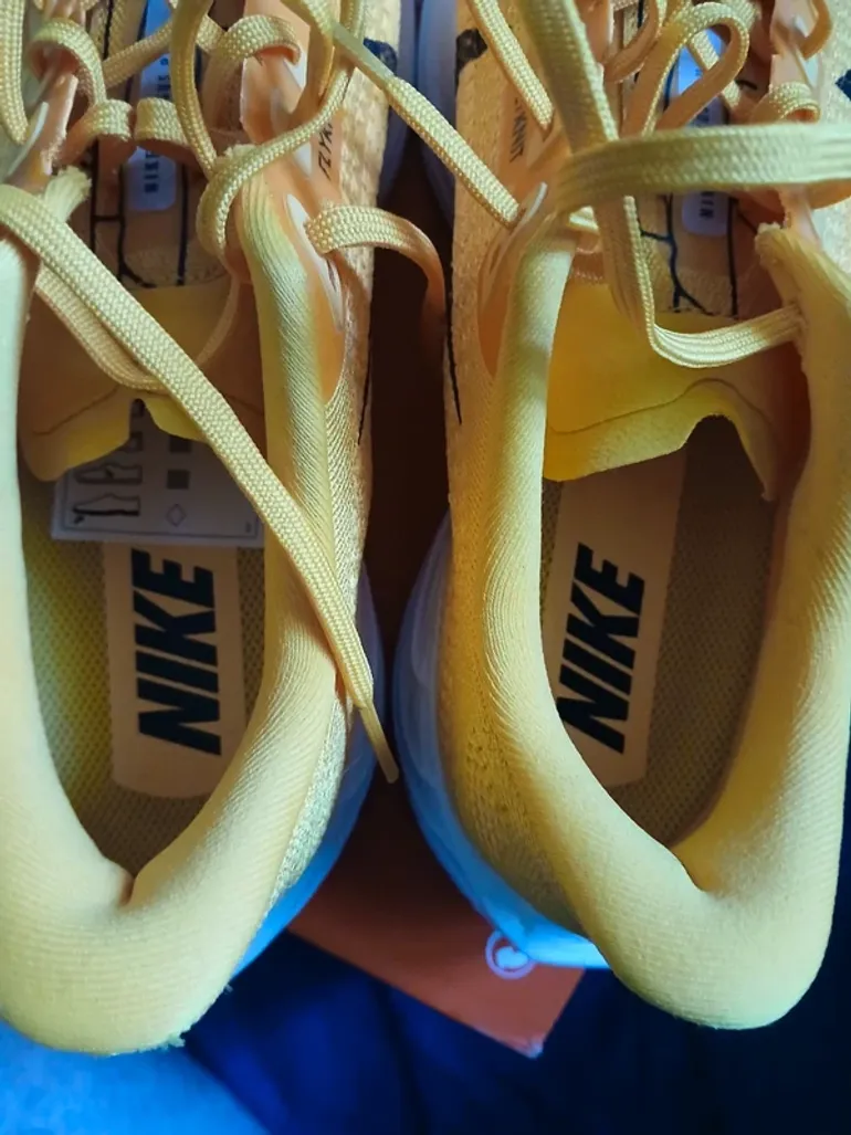 Used Pegasus Nike Air Zoom Plus Turbo bike — image 9 of 14