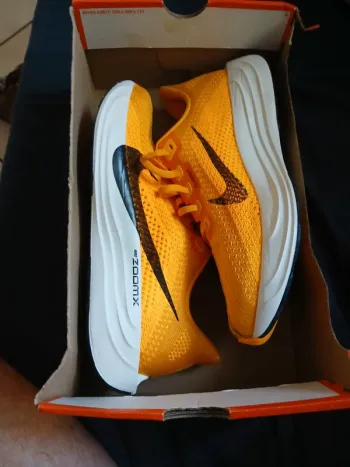 Used Pegasus Nike Air Zoom Plus Turbo bike — image 8 of 14