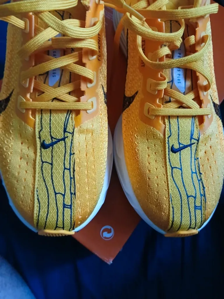 Used Pegasus Nike Air Zoom Plus Turbo bike — image 4 of 14