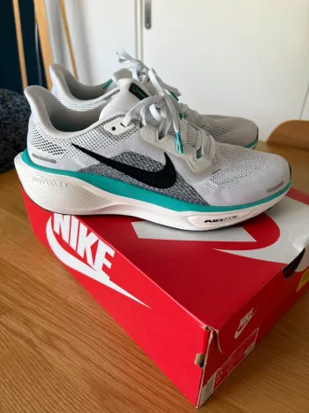 Used Nike sneakers size 42 bike