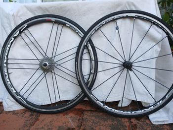 Käytetty Campagnolo Shamal Ultra Mega G3 Wheelset bike