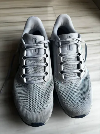 Used Pegasus Nike 41 bike — image 2 of 5