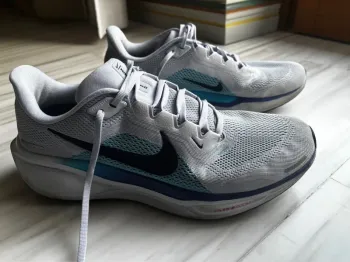 Used Pegasus Nike 41 bike