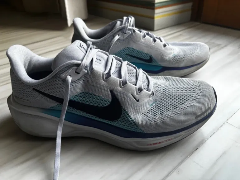 Used Pegasus Nike 41 bike — image 1 of 5