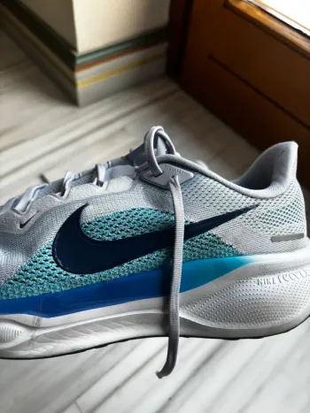 Used Pegasus Nike 41 bike — image 4 of 5
